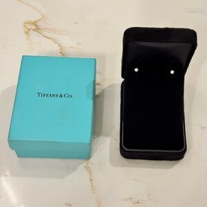 Tiffany & Co. Silver Diamond Earrings